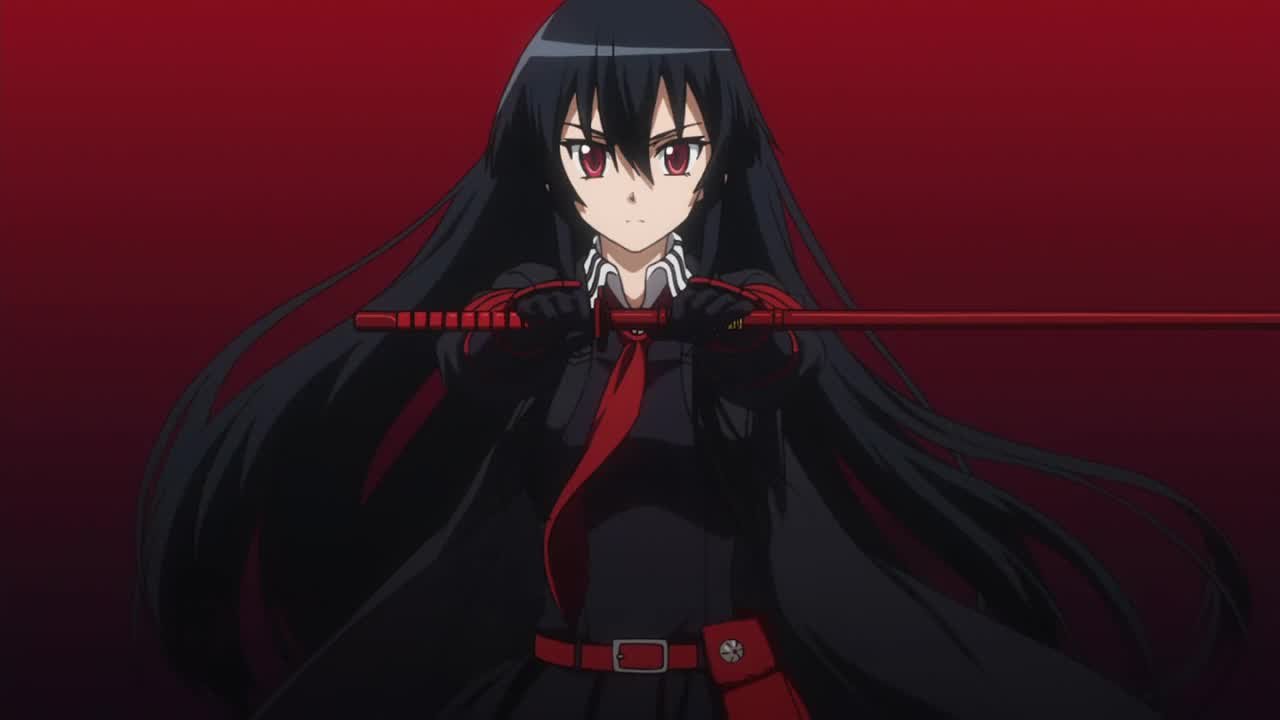 One of the best anime out there, it's called akame ga kill and