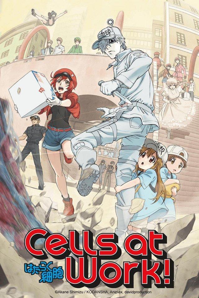 Cells at Work! Season 2 - Official Trailer], By Hataraku Saibou Family