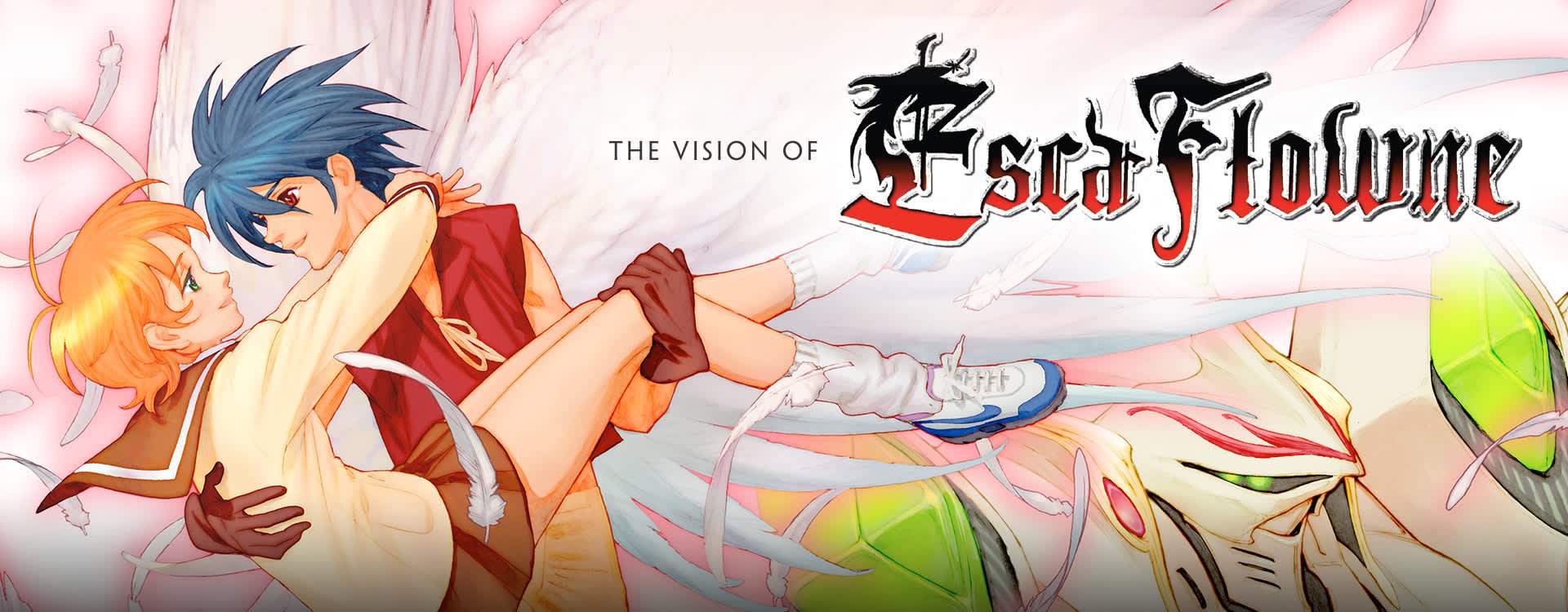 The Vision of Escaflowne, Review