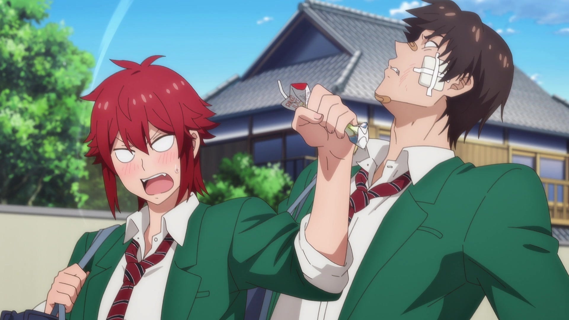 Tomo-chan Is a Girl!: A Hilarious Rom-Com Anime About a Tomboy in Love –  Pinned Up Ink